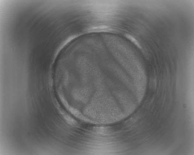 X0000068281458200605121859