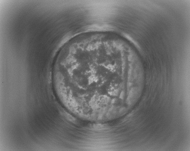 X0000068281459200605121859