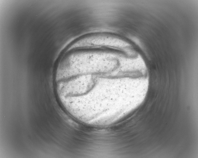 X0000068281460200605121859