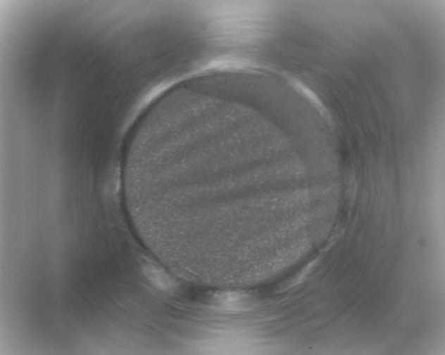 X0000068281461200605121859