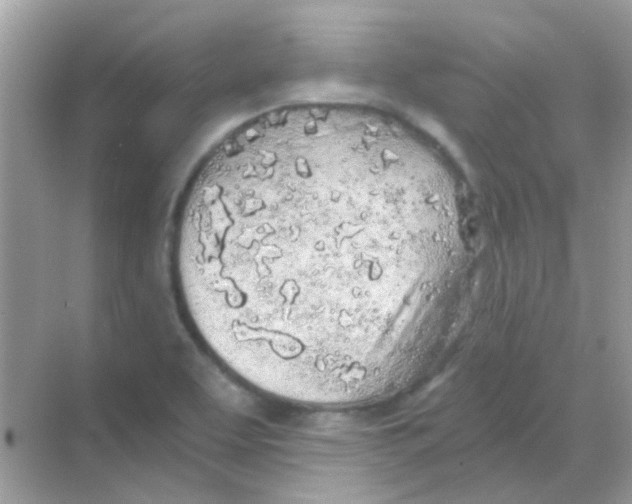 X0000068281463200605121859