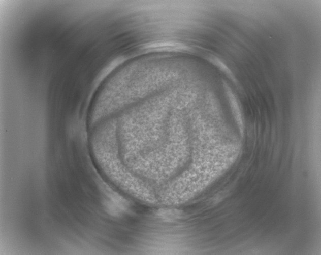 X0000068281466200605121859