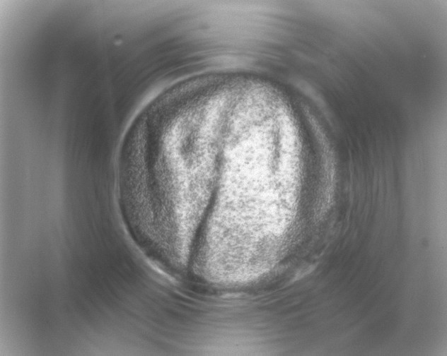 X0000068281467200605121859