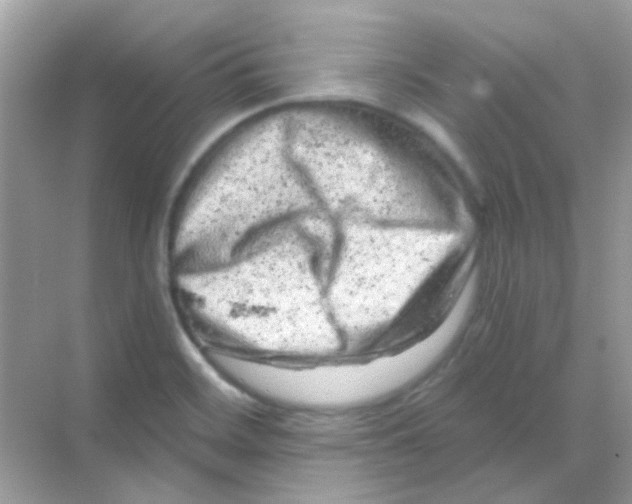 X0000068281468200605121859