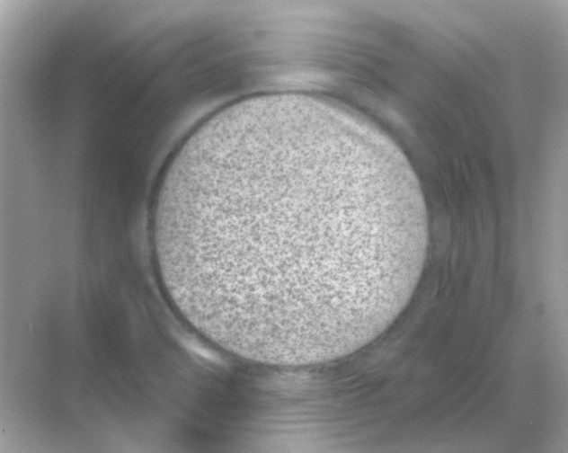 X0000068281470200605121859