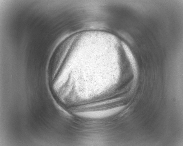 X0000068281471200605121859