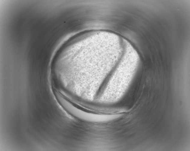 X0000068281472200605121859