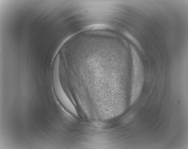 X0000068281473200605121859