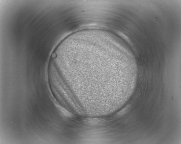 X0000068281474200605121859