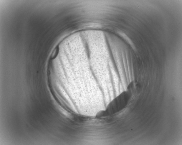 X0000068281475200605121859