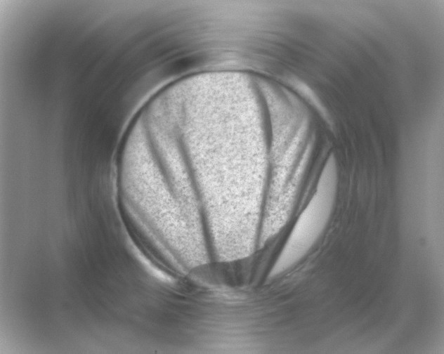 X0000068281476200605121859