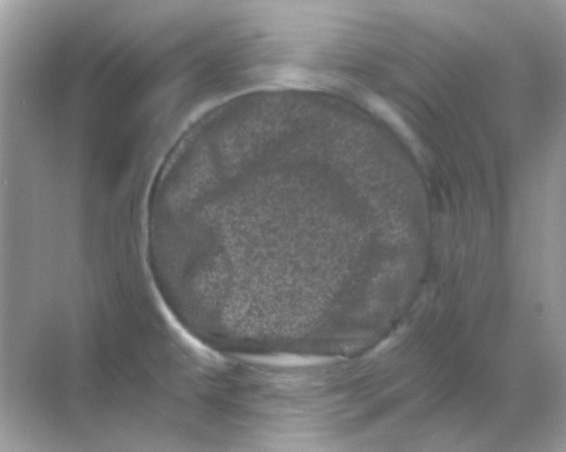 X0000068281479200605121859