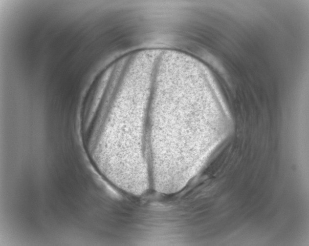 X0000068281480200605121859