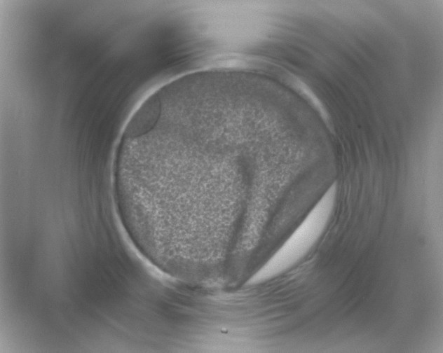 X0000068281483200605121859