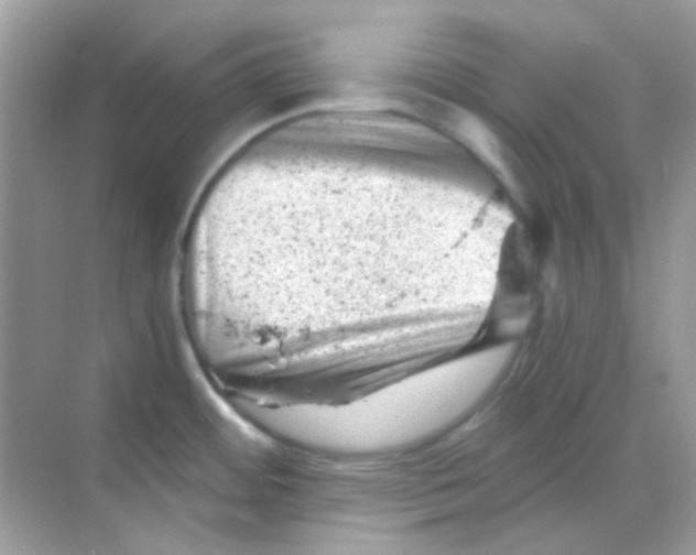 X0000068281484200605121859