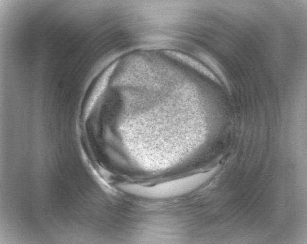 X0000068281485200605121859