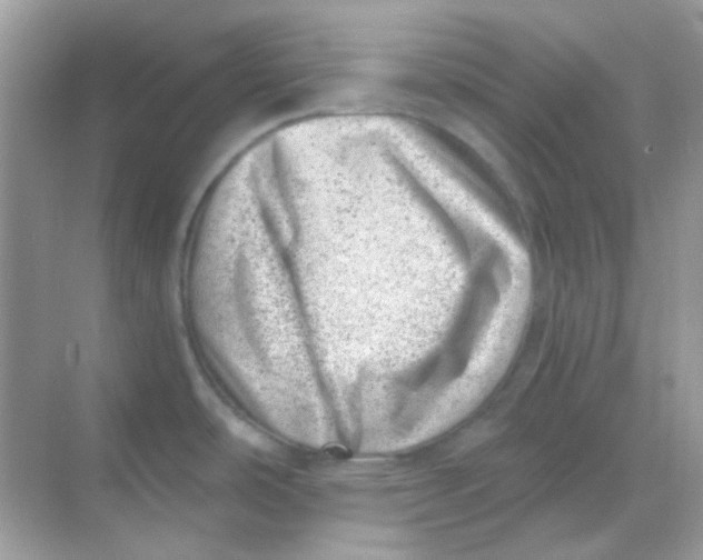 X0000068281486200605121859