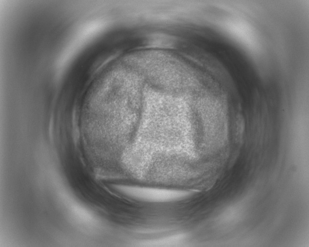 X0000068281487200605121859