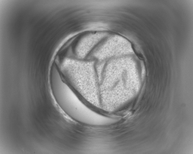 X0000068281488200605121859