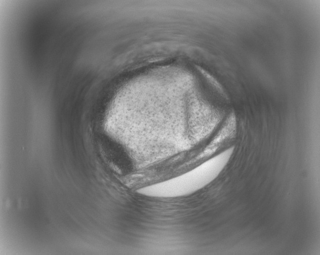 X0000068281489200605121858