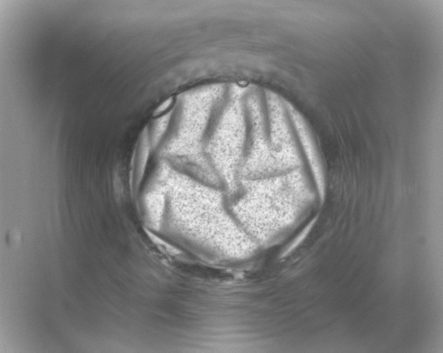 X0000068281490200605121858