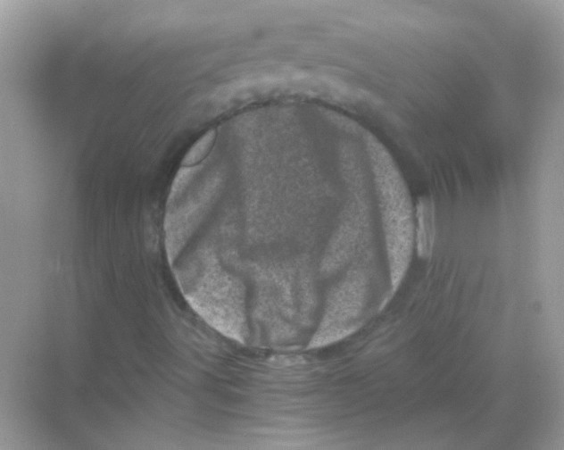 X0000068281491200605121858