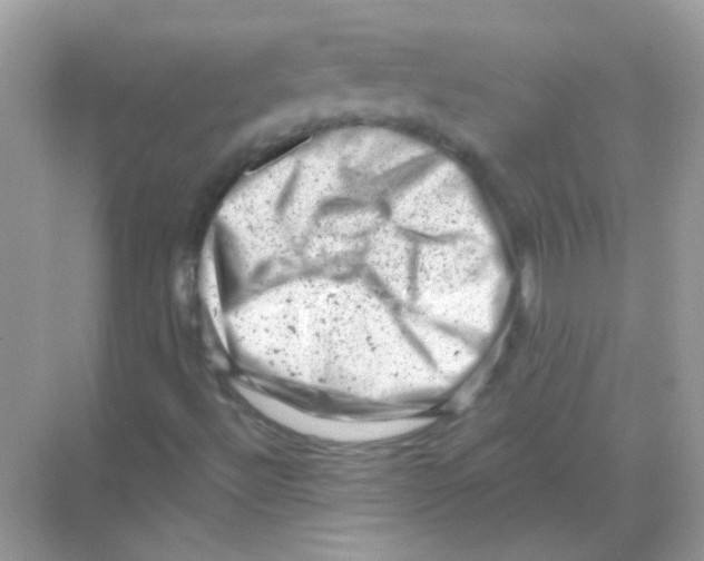 X0000068281492200605121858