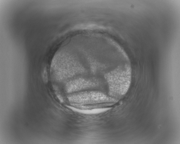 X0000068281493200605121858