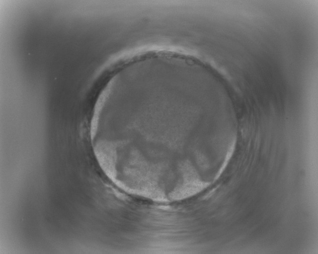 X0000068281495200605121858