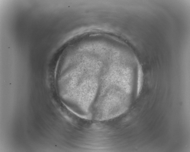 X0000068281496200605121858