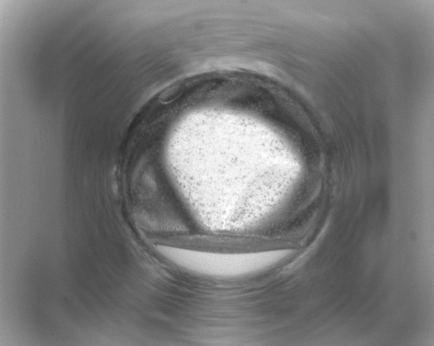 X0000068281497200605121858