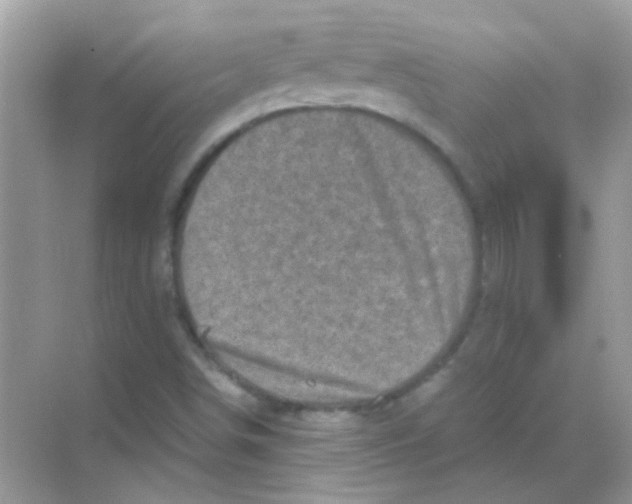 X0000068281498200605121858