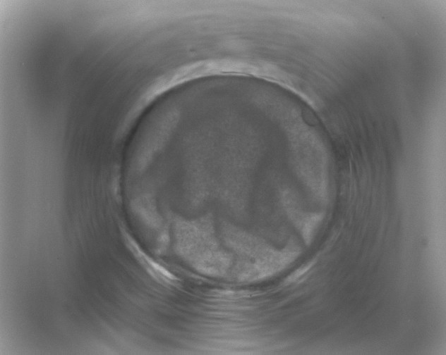 X0000068281499200605121858