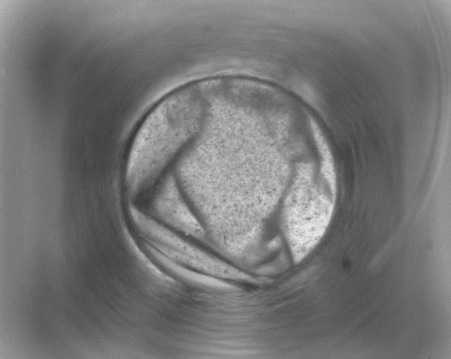 X0000068281500200605121858