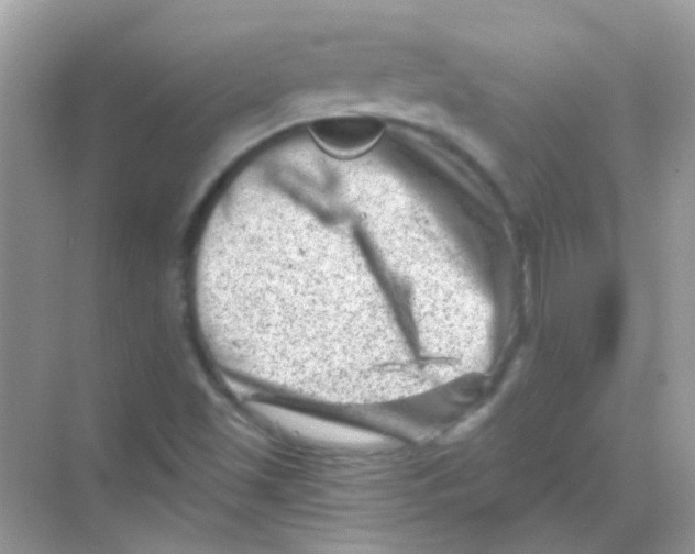 X0000068281501200605121858