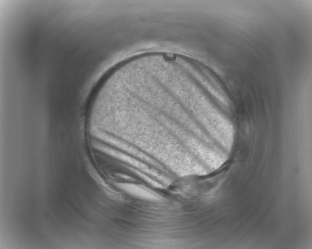 X0000068281503200605121858