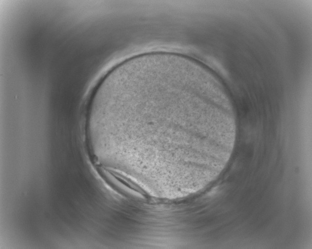 X0000068281504200605121858