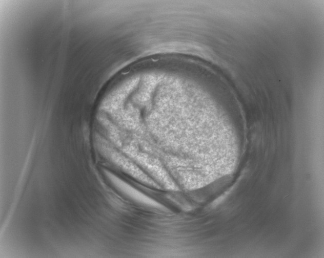 X0000068281505200605121858