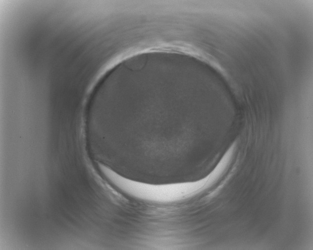 X0000068281506200605121858