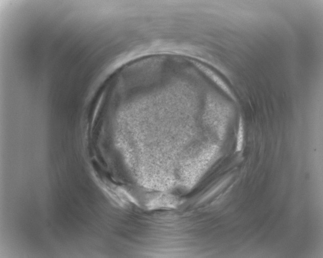 X0000068281507200605121858