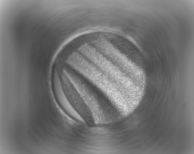 X0000068281508200605121858