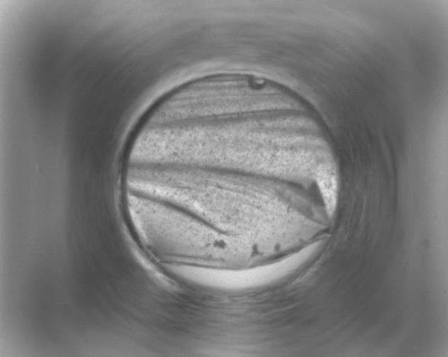 X0000068281511200605121858