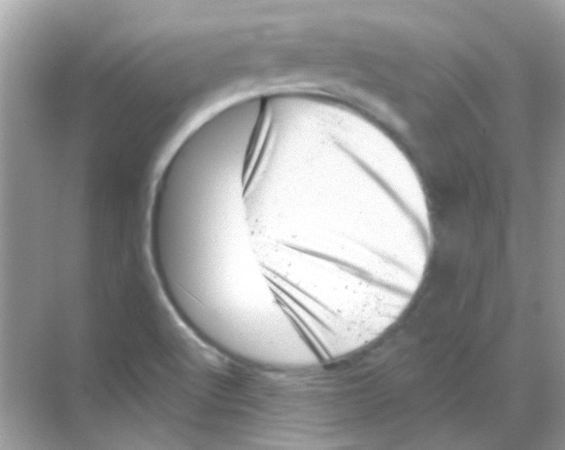 X0000068281512200605121858