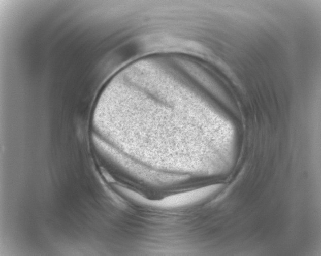 X0000068281513200605121858