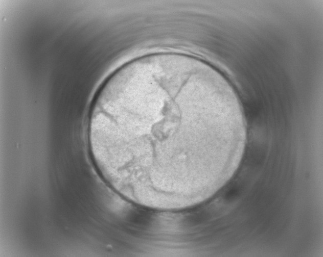 X0000068281514200605121858