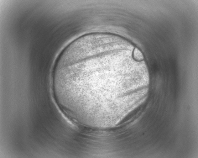 X0000068281517200605121858