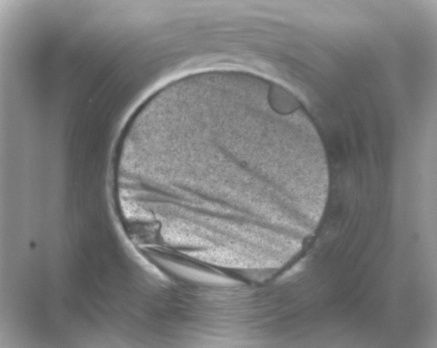 X0000068281518200605121858