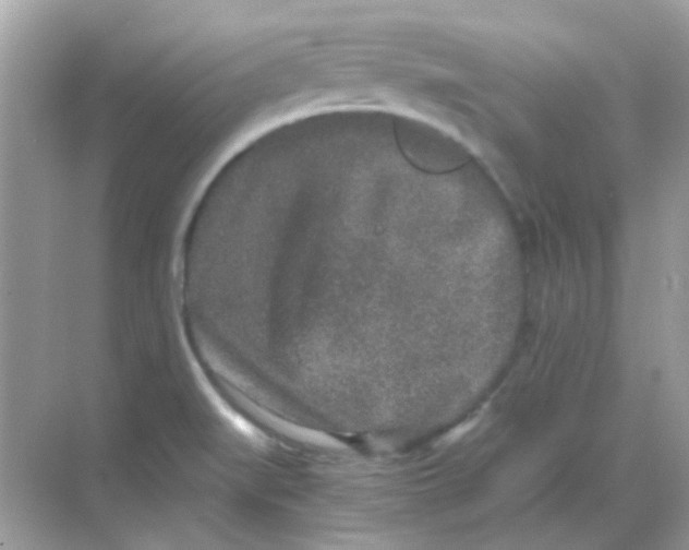 X0000068281519200605121858