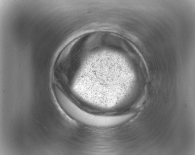 X0000068281520200605121859