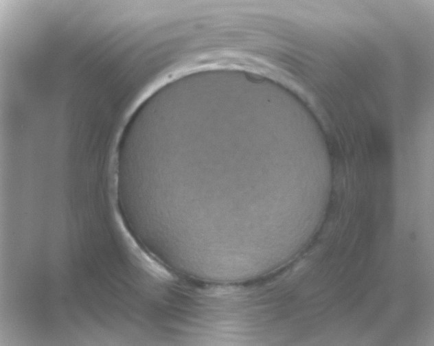 X0000068281522200605121859